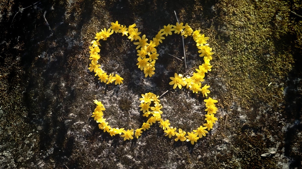 Filippa K  首度推出“93 图标”，庆祝其在时尚界的30周年